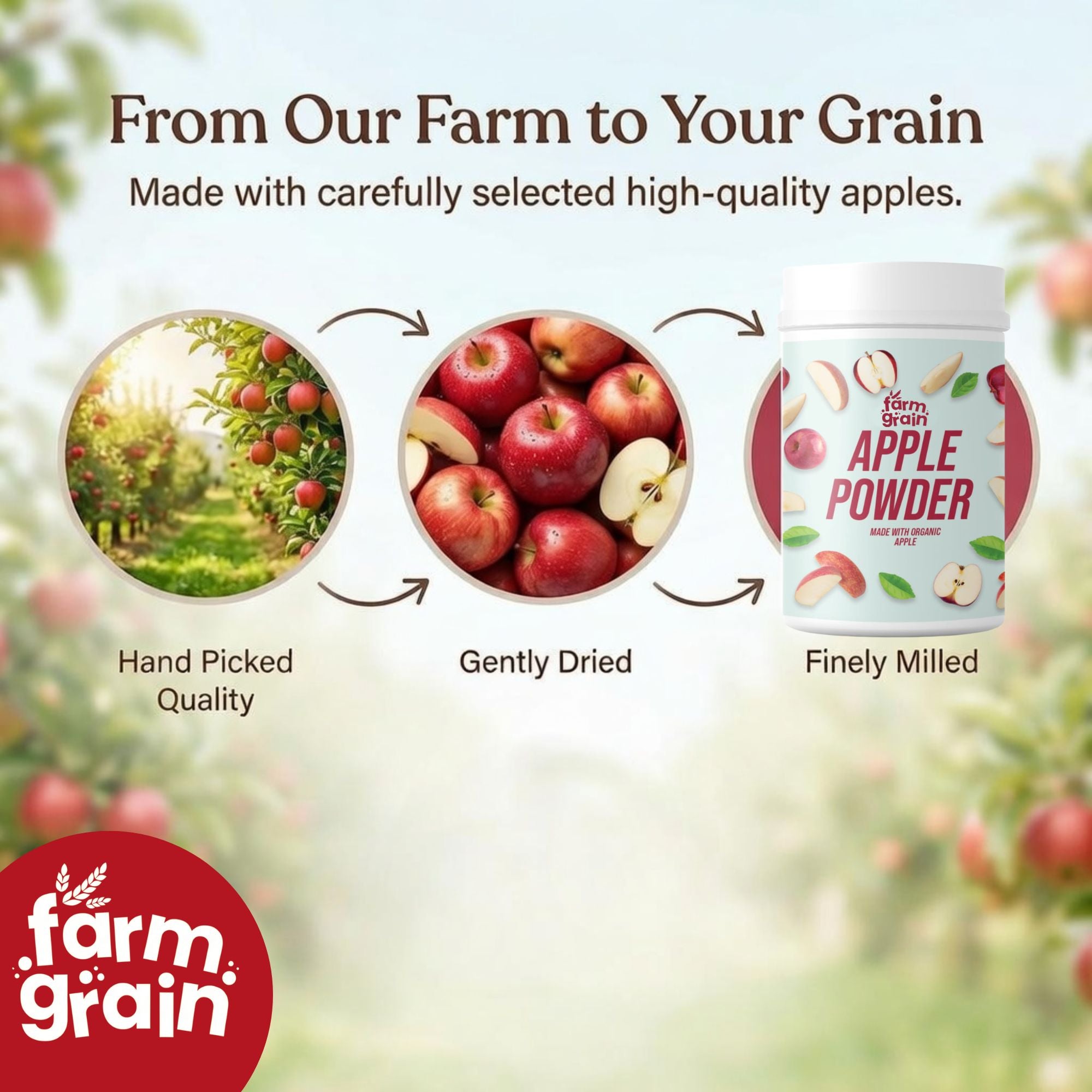 Apple Powder 250g | | No Added Sugar and Preservatives | Milkshakes | Dessert Recipes | Fruit Powder