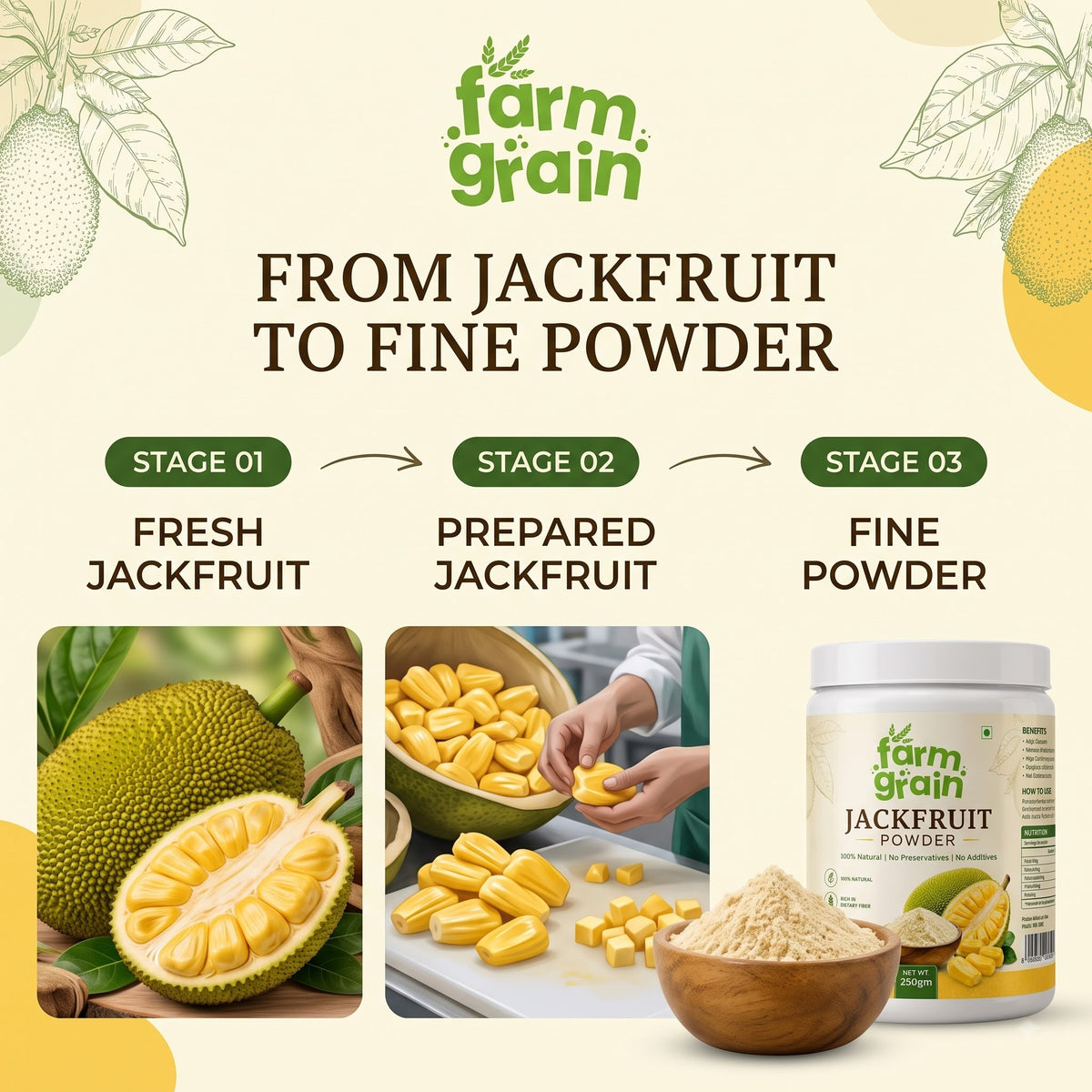 Jackfruit Powder 250g