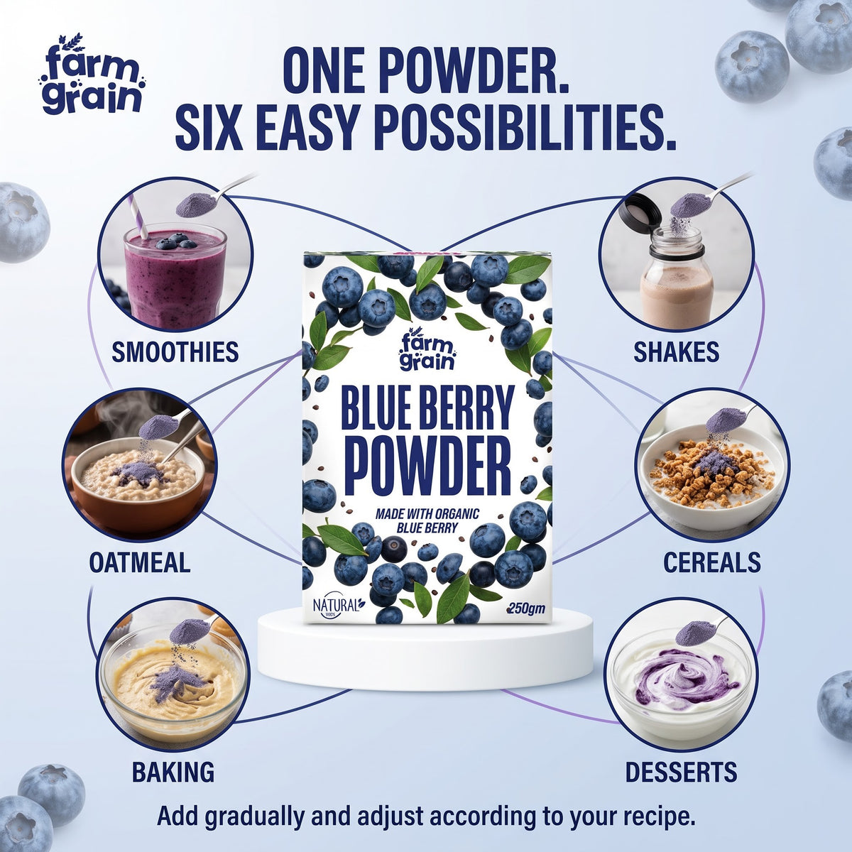 SD Blueberry Powder Combo 250g