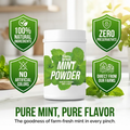 Mint powder 200g
